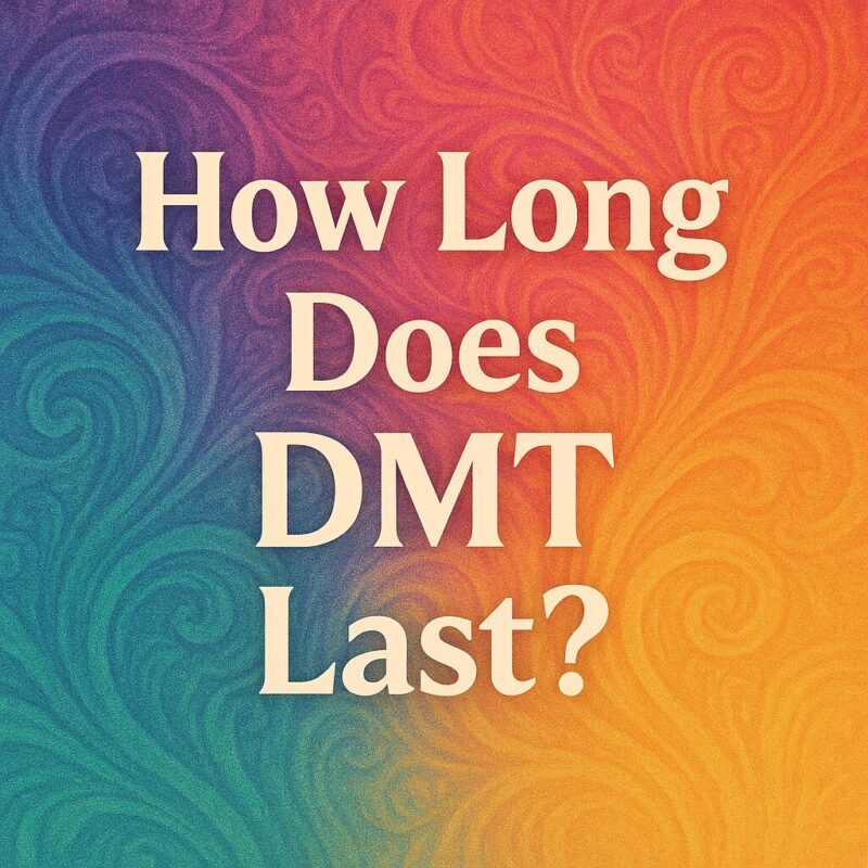 HOW LONG DOES DMT LAST