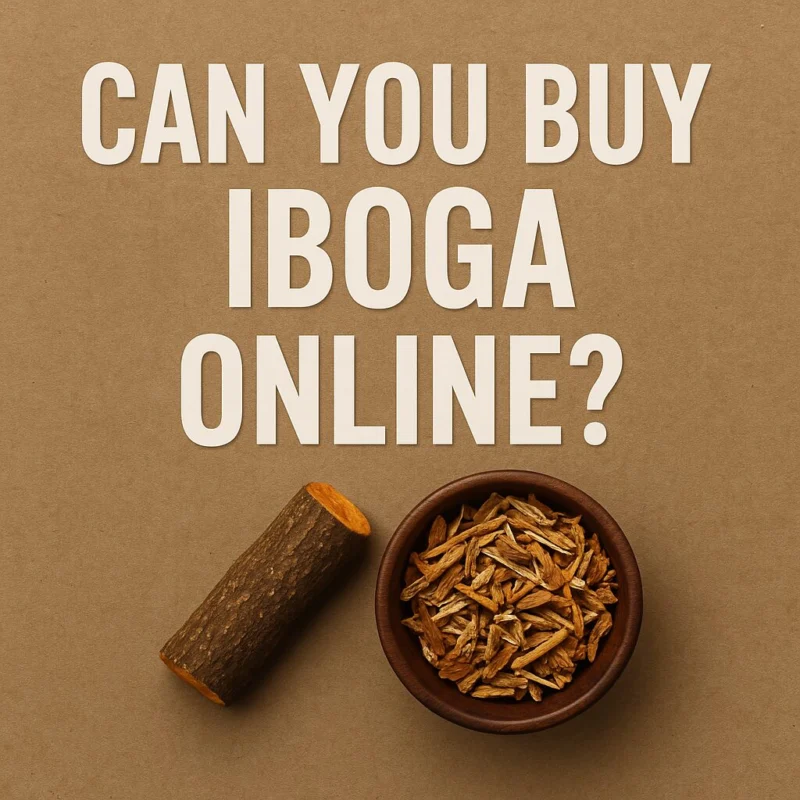 CAN YOU BUY IBOGA ONLINE