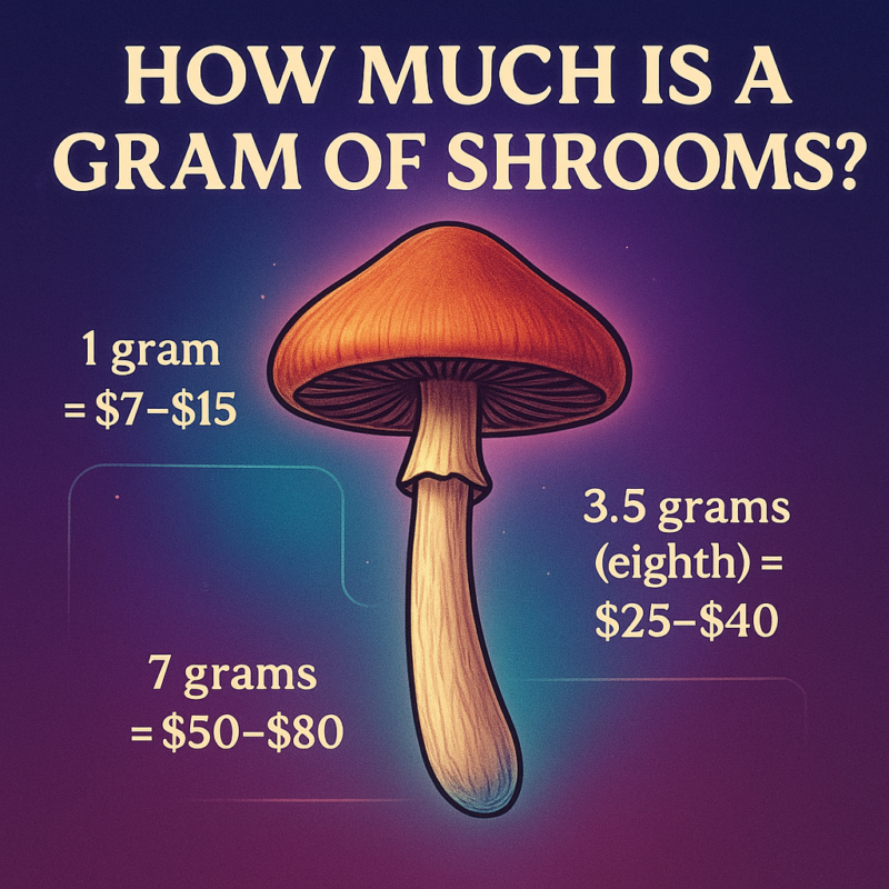 HOW MUCH IS A GRAM OF SHROOMS