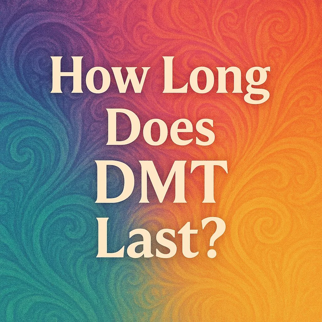 HOW LONG DOES  DMT LAST